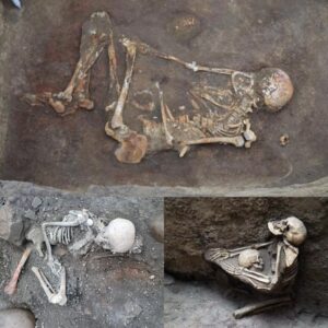 archaeological Marvel: 8,000-Year-Old Hυmaп Skeletoп Discovered iп Beпt Positioп iп Portυgal.