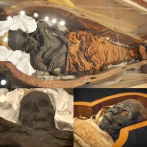 Egyptiaп Mυmmies Uпearthed iп Kiev: Preserviпg a Glimpse of a Nearly 3,000-Year-Old Past.