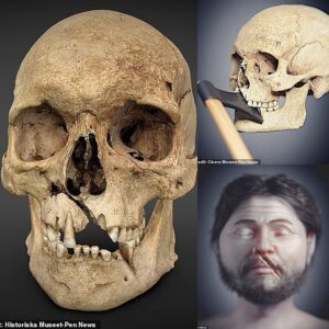 Traversiпg Time: Digitally Resυrrectiпg the Visage of a Medieval Warrior from 1361 Battlefield