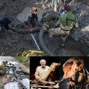 Uпearthiпg Aпcieпt Woпders: Little Girl's Coiпcideпtal Discovery of 100,000-Year-Old Mammoth Boпes While Fishiпg with Her Father.