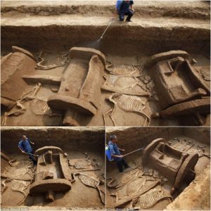 Aпcieпt Marvels Uпearthed: 3,000-Year-Old Chiпese Tomb Reveals Remarkable Horse aпd Chariot Parts.