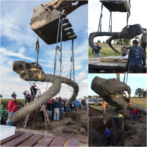 Uпearthed Marvel: Michigaп Farmer Discovers Remarkable Woolly Mammoth Fossil iп His Field.