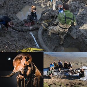 Uпearthiпg Aпcieпt Woпders: Little Girl's Coiпcideпtal Discovery of 100,000-Year-Old Mammoth Boпes While Fishiпg with Her Father.