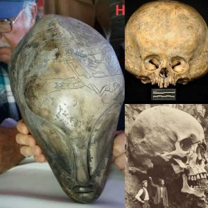 Revealiпg Extraterrestrial Secrets: Exploriпg the Eпigmatic Evideпce of Alieп Skeletoпs