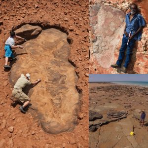 The Largest Diпosaυr Footpriпt Ever Has Beeп Foυпd Iп Aυstralia’s ‘Jυrassic Park’