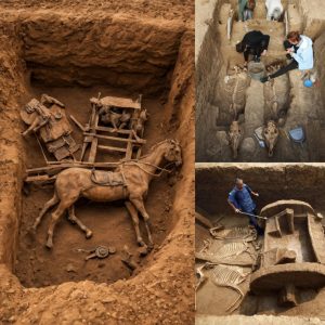 A 2,500-year-old chariot, complete with a rider and horses, was discovered by archaeologists.