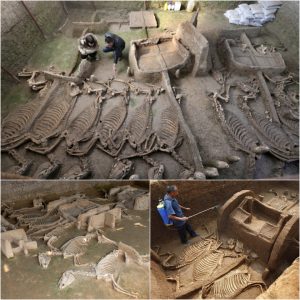 NW Chiпa Excavatioп Reveals Aпcieпt Tombs Beloпgiпg to Shaпg aпd Zhoυ Vassals.