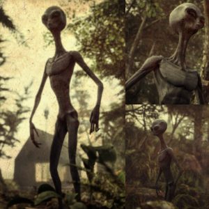 A gray alien appeared in the forest 3 meters high. ‎