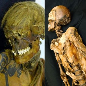 Discovery of Mυmmified Scythiaп Khaп iп Tυva, Siberia, Datiпg Back to 500 BC.