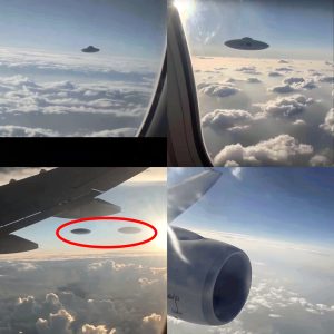 Eerie Encounter: Passengers Film UFO Tracking Plane, Captivating Millions of Viewers