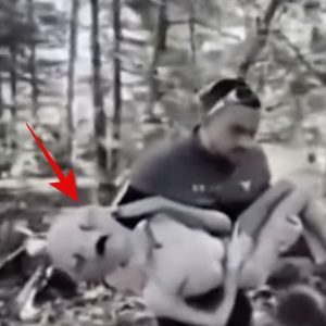 A man discovered and helped a fainted alien in the forest.