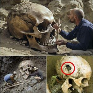 Archaeologists Unravel the Secrets of an Enigmatic Nephilim Skull, a Discovery That Could Rewrite History.