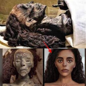 Pretty Secrets: The Curly Hair of a 3,500-year-old Egyptian Pharaoh QŅee