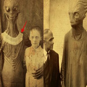 A family in New Mexico claimed that stray aliens were pilfering clothes.