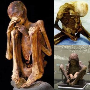 Beyond the Grave: Exploring the Mysteries of Seated Mummies in Ancient Civilizations