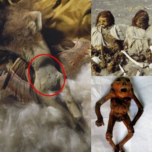 The Shocking Discovery of the Most Unsettling Mummified Remains: Unlocking the Secrets of the Dead