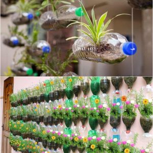 How to Make Your Own Vertical Garden And Care For Them