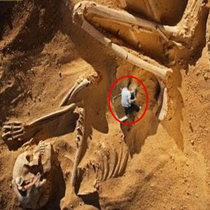 Egypt History: Nephilim GiantsExploring Egypt's Enigmatic Past: Unraveling Mysteries of Ancient Giants and Pyramid Construction