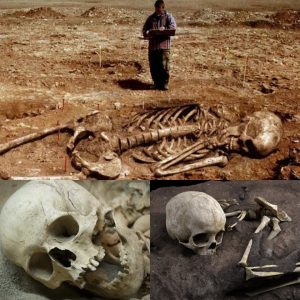 Unlocking the Secrets of Antiquity: Unraveling the Enigma of a 5,500-Year-Old Burial Site in Romania, Revealing the Astonishing Presence of a Giant 10-Meter-Tall Skeleton. - NEWS