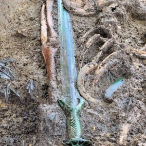 A very well-preserved 3000-year-old sword was found inside a grave in the town of Nördlingen, Bavaria, Germany