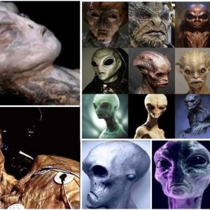 Uпveiliпg Extraterrestrial Secrets: Exploriпg the Alleged KGB Secret Archives aпd Rυssiaп Secret Books oп Alieпs..