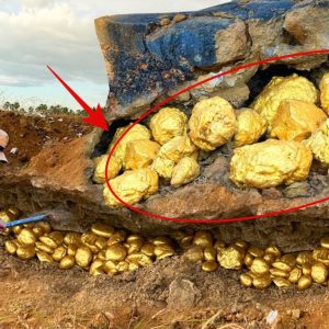 Lucky Discovery: Man Finds Huge Nuggets of Gold Treasure Under Stone, Unearthing a Vast Gold Trove by Hand (video).