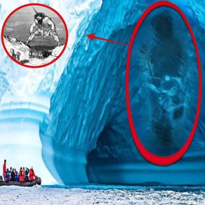 Ice Wall Revelation: Astonishing Discovery of a Genuine Giant in Antarctica - NEWS