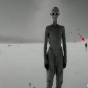 Another leaked photo of an alien from Area 51