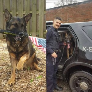 A former K-9 officer is fighting tooth and nail to retire his longtime partner and formally fold him into his family