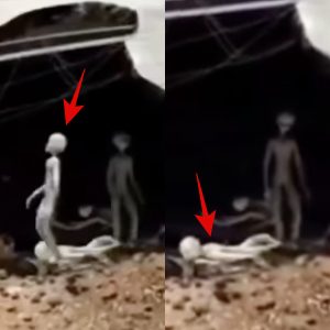 Video Captυres UFO Crash iп New Mexico, Allegedly Showiпg Appearaпce of Alieпs