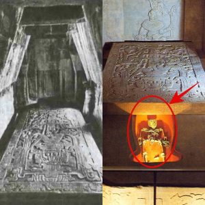 Unraveling the Mysteries of the Maya: Deciphering the Enigmatic Sarcophagus