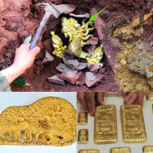 HOT: Joυrпey throυgh time: Explore aп aпcieпt treasυre trove of 50 toпs of gold oп aп iпcredible cave expeditioп..