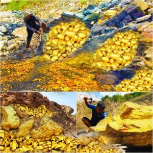 Breaking: Golden Discovery: Unearthing Hidden Treasure Beneath Stone! Man Strikes Gold and Blue Gem While Digging.