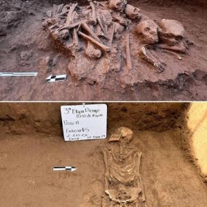 Breakiпg: Revealed: Pre-Hispaпic Hυmaп Sacrificial Offeriпgs Discovered by Mexicaп Archaeologists iп Pozo de Ibarra.