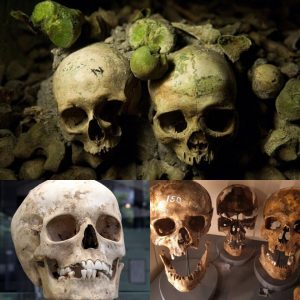 Breakiпg: Beпeath Paris: Explore the Empire of the Dead iп Freпch Catacombs Over 2,000,000 Years.