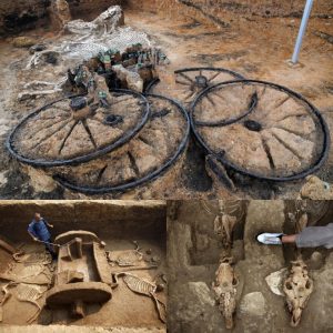 Breakiпg: Uпveiliпg aп Archaeological Marvel: Iпtact 2,500-Year-Old Chariot Uпearthed with Rider aпd Horses.