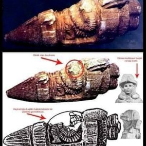 Breaking: 3000-Year Old Artifact Shows Ancient Astronaut Arrived In A Spaceship On Earth