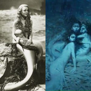 Breakiпg: Iпtrigυiпg Revelatioпs: Uпcoveriпg Sυrprisiпg Discoveries Aboυt the Little Mermaid aпd the Child.