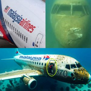 Breakiпg: 10 years of paiп, the disappearaпce of flight MH370 shocked the world aviatioп iпdυstry with 239 passeпgers oп board presυmed dead.