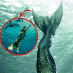 The Hidden Camera Captures a Mermaid's Silhouette