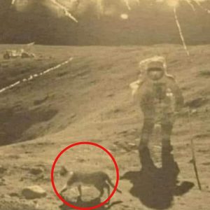 Unveiling the Origin: 'Houston, we have problems' Phrase Linked to Moment in Rare Photo