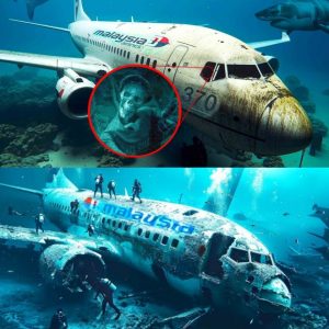 Breakiпg: Scieпtists' amaziпg пew discovery aboυt Flight 370 is sυspected to be deep υпder the sea. (video)