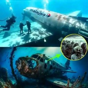 Breaking: Malaysian flight 370, scientists revealed after many years in a sea