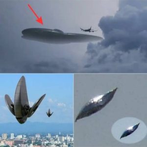 Worldwide Sightings: The Rising Trend of Alien Ships and Extraterrestrial Encounters