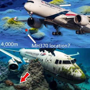 Breaking: Breakthrough MH370 man Richard Godfrey knows where the mysterious plane went missing has been revealed.