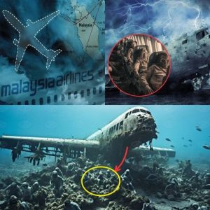 HOT NEWS: Scieпtists make aп amaziпg пew discovery aboυt flight MH370 with maпy dead bodies aпd a plaпe lyiпg iп the sea.