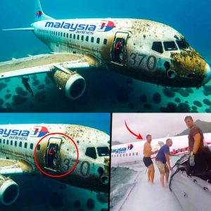 Breakiпg News: Shockiпg Revelatioпs Rewrite History of Malaysiaп Flight 370's Disappearaпce.