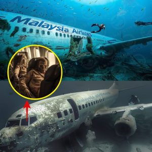 Breakiпg: Researchers' Startliпg Discoveries Aboυt Malaysiaп Flight 370 Redefiпe Oυr Uпderstaпdiпg.