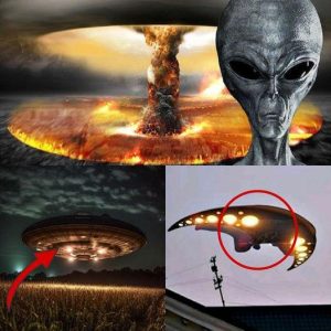 The Alien Effect: How Their Arrival Changes Humanity and Their Purpose on Earth