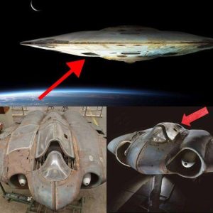 Global Sensation: Discovery of Ancient Alien Spaceship Raises Long-Term Inhabitance Questions